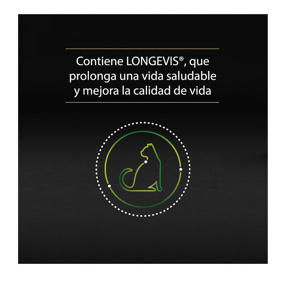 10 tarrinas x 85 g Pro Plan NutriSavour Sterilised 7+ Pavo tarrina para gatos, , large Imagen numero 4